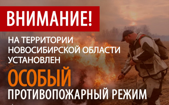 Особый противопожарный режим установлен на территории Новосибирской области